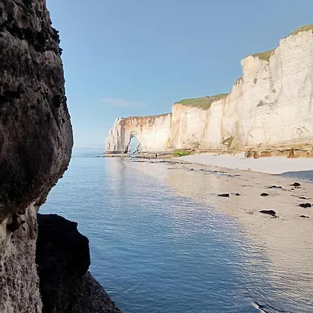 Les Charmes Du Bosquet Parc D'amour Et Nature Parking Prive Securise