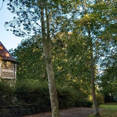 Les Charmes Du Bosquet Parc D'amour Et Nature Parking Prive Securise *