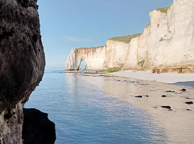 Les Charmes Du Bosquet Parc D'amour Et Nature Parking Prive Securise