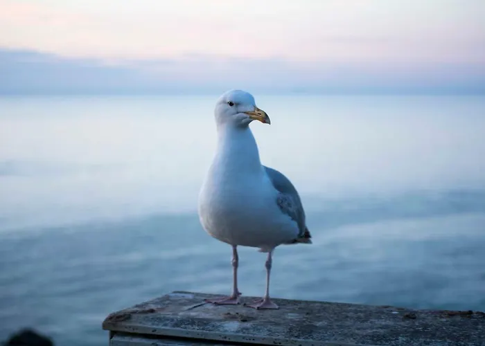 Les Charmes Du Bosquet Parc D'amour Et Nature Parking Prive Securise